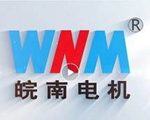 安徽91麻豆国产福利品精電機股份有限公司宣傳片（2024）正式發（fā）布