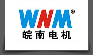安徽皖（wǎn）南電機股份有限公司