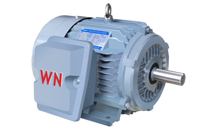 NE係列高效高轉矩三相異步電（diàn）動機