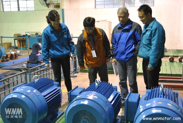 高效電（diàn）動機