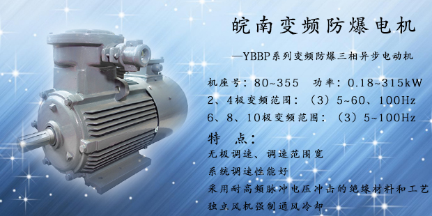 變頻防爆電機 變頻防爆電機(jī)