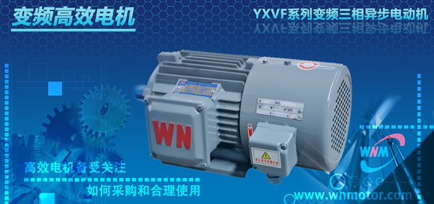 高(gāo)效(xiào)電機 高效電機