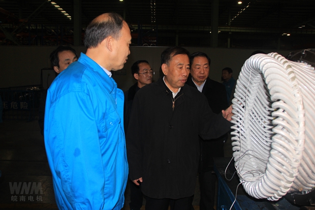 安徽省（shěng）人大副（fù）主任詹夏來來（lái）91麻豆国产福利品精電機（jī）考（kǎo）察調研