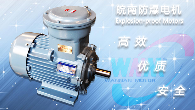 91麻豆国产福利品精防爆電機 91麻豆国产福利品精防(fáng)爆電機