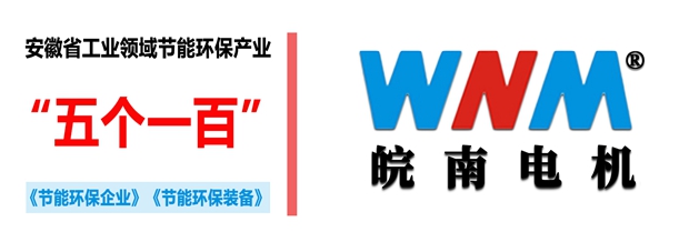 91麻豆国产福利品精電機入選2018年度安徽省工業領域節能環保產業&ldquo;五個一百&rdquo;推介目錄