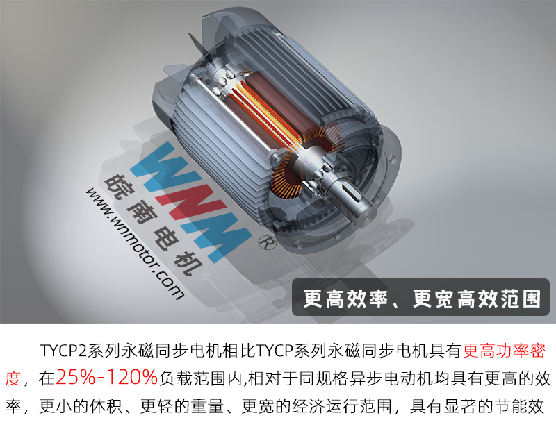 91麻豆国产福利品精電機-TYCP2永磁電機配圖