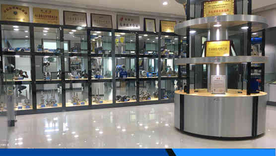 江蘇奶茶视频儀表集團（tuán）有限公司