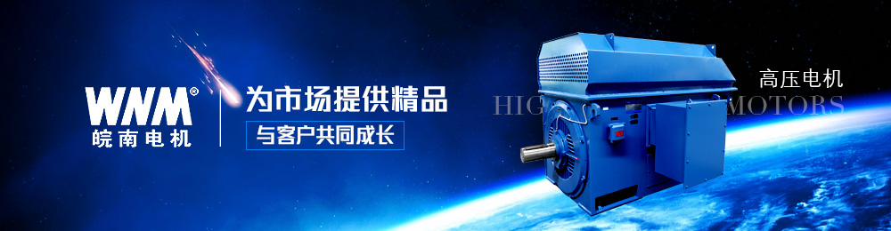 高壓電（diàn）機