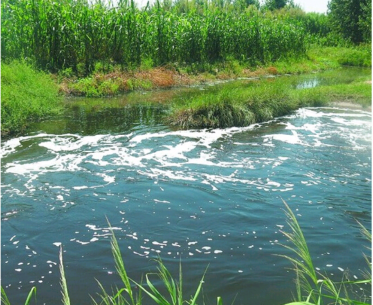 汙水變廢為寶記（jì） 實現生活汙水零排放